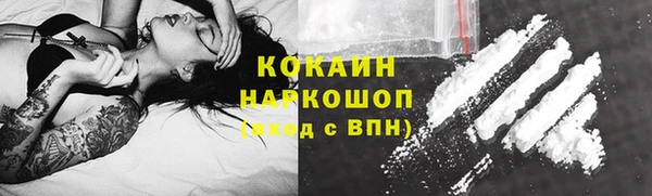 бошки Бородино