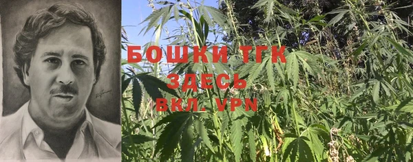гидра Верея
