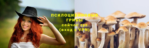 гидра Верея