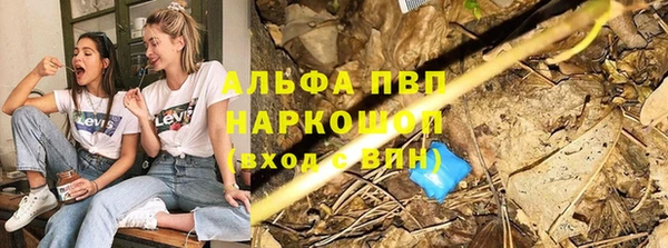 гидра Верхний Тагил