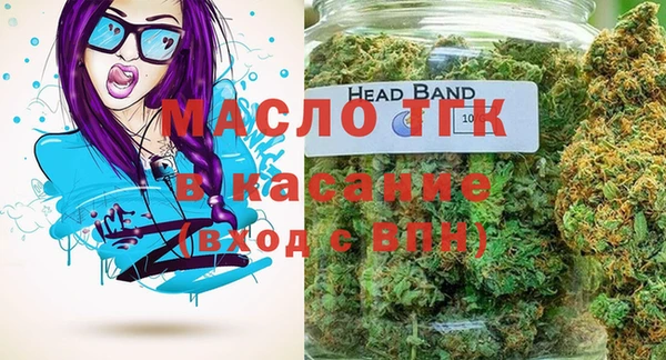 гидра Верхний Тагил