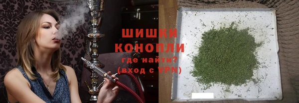 гидра Верхний Тагил