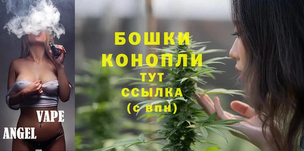 гидра Верхний Тагил