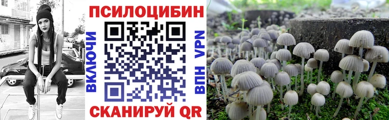цены   Кинель  Псилоцибиновые грибы мицелий 